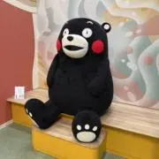 AAAの画像