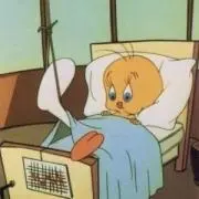 endomameの画像