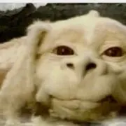 モレゾウの画像