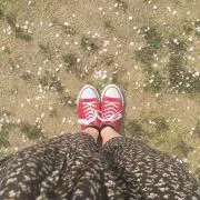 ユの画像