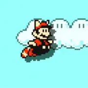 たぬきの画像