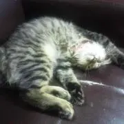 まりん