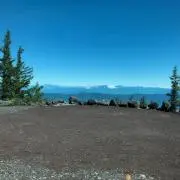 ポムポムの画像