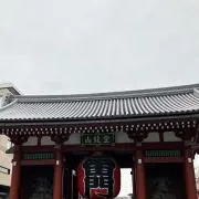 ザクロの画像