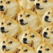aiai'221⭐︎プロフご確認くださいの画像