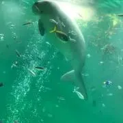 ひかりの画像