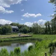 CARTの画像