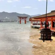 niramの画像