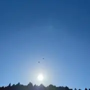 SUS