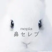 Sの画像