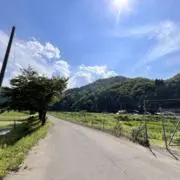 綿の画像