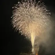 りんの画像