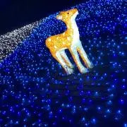 ta★の画像