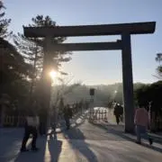 バナナの画像