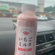 樹