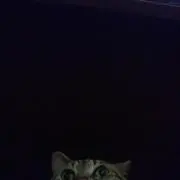 ユウの画像