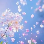 K【即購入OK】の画像