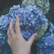 ちはるの画像