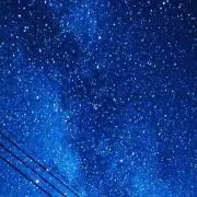 紫苑の画像