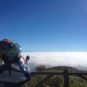 BCRの画像