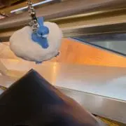 わかの画像