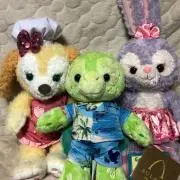 かめさんの画像
