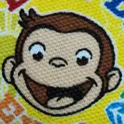 ぶーたんの画像