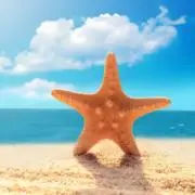 yiyiの画像