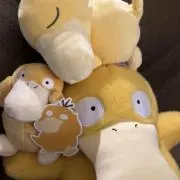もちこだ