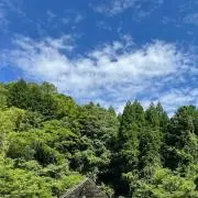 千の画像