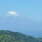パン焼きそばの画像