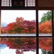 kurtの画像