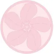 包丁専門の画像