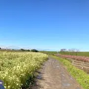 にーの画像