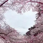 maiの画像