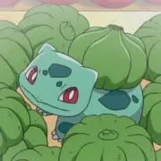 おもち