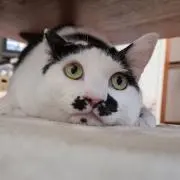 Hiro☆