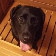 えるふぁ