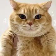 bAiBai