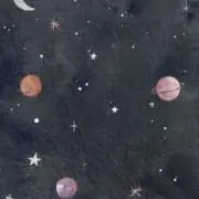 のそんの画像