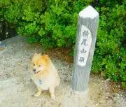 横尾山の画像