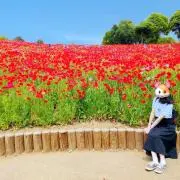ルキの画像
