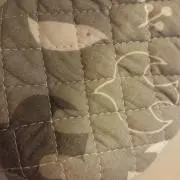 あや