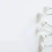 Mari
