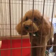 ゆう プロフ必読の画像