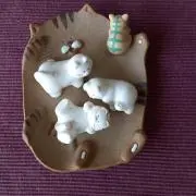akiの画像