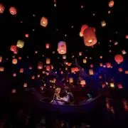みみみの画像
