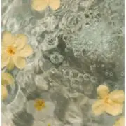 Mの画像