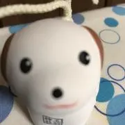 herazikaの画像