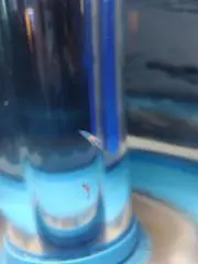 ふみの画像